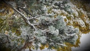 Владикавказ, такой уютный и красивый...