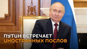 Путин принимает верительные грамоты зарубежных послов – трансляция