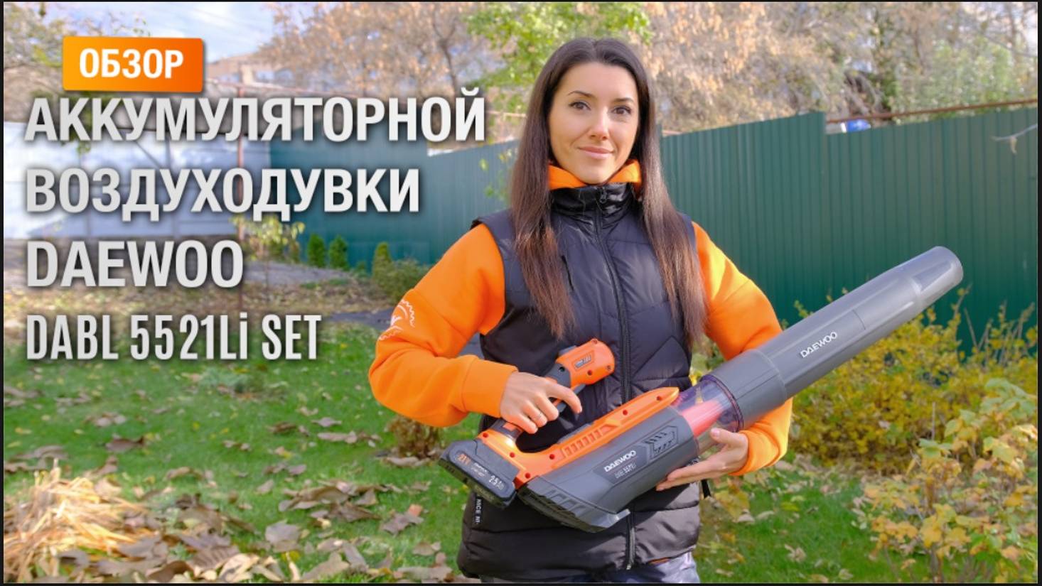 Аккумуляторная воздуходувка DAEWOO DABL 5521Li SET - отличный помощник для дачников и автомобилистов