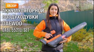 Аккумуляторная воздуходувка DAEWOO DABL 5521Li SET - отличный помощник для дачников и автомобилистов