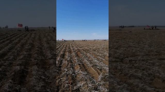 вахта памяти 2023