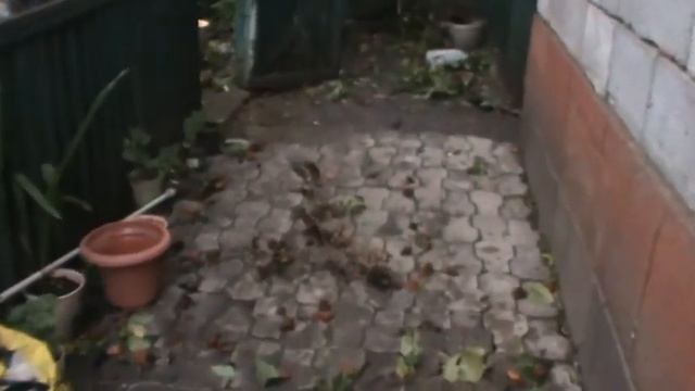 Мариуполь 24 сентября - Сильный ветер. Удар стихии. Ураган смотреть онлайн