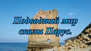 Подводный мир Чёрного моря у скалы Парус.