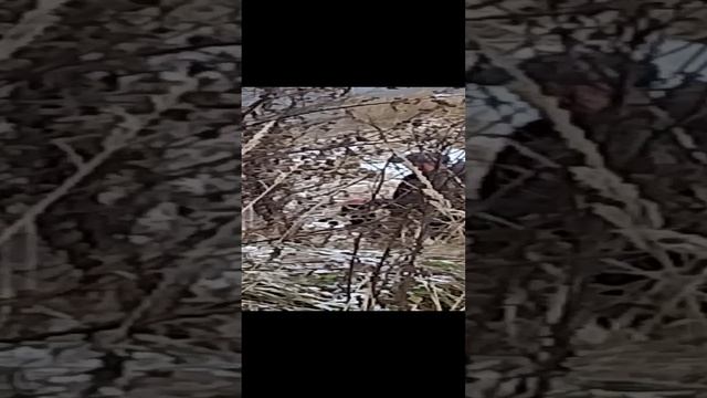 спасение