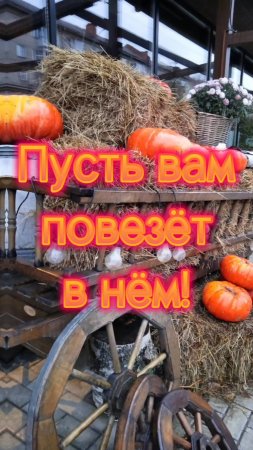 С новым днём