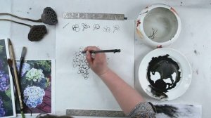 2_Гортензия_2 урок