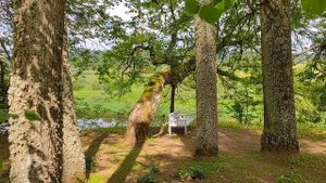 Музей-Усадьба "Тригорское", Пушкинские Горы, 7 июня 2024 г.