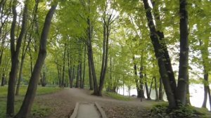Остров птиц в Минске, популярное место для отдыха горожан #беларусь #минск