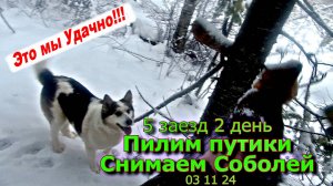 5 заезд 2 день Пилим путик снимаем Соболей 03 11 24