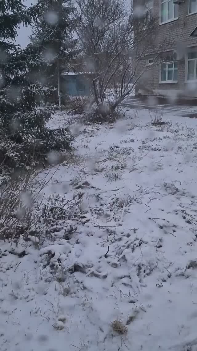 Первый снег Лежит на земле