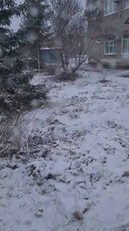 Первый снег Лежит на земле
