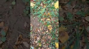 #NoktaSimplexUltra. Первый выход, первые находки, маленький тест на глубину. Стабильность!