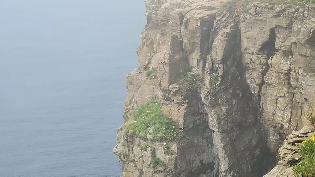 ВЛАДИВОСТОК, часть 3-я: Остров Русский и мыс Тобизина (16.06.2023 г.) смотреть онлайн