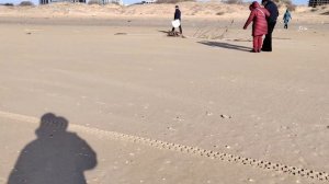 18 января 2024 г.