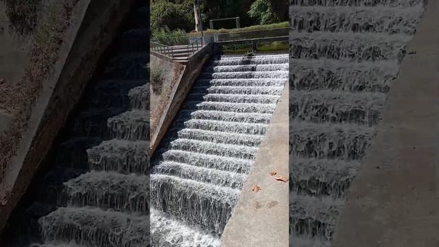 Somewhere in Portugal, a waterfall.