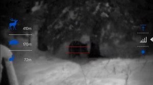 Охота на кабана