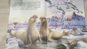 Читаем с Тёмой и Секой