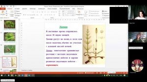 7 класс_5.11_1_Папоротникообразные