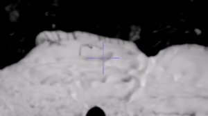 Охота на кабана TG3 Lancaster 9.6х53 and Pulsar digex n455