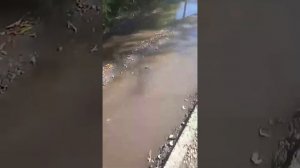Все затопило в Самаре. Вода течет 3й день