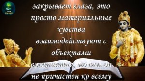 Бхагават Гита 5.8-11
