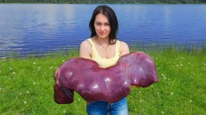 Блюдо на весь год Говяжья печень, консервированная в стеклянных банках, с ребрышками Тандури