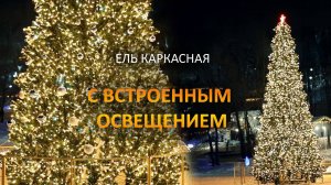 Светодинамическая ель каркасная. Встроенное освещение теплого цвета.