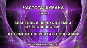 Резонанс Шумана. Квантовый переход Земли и человечества. Кто сможет перейти в новый мир. Часть 2.