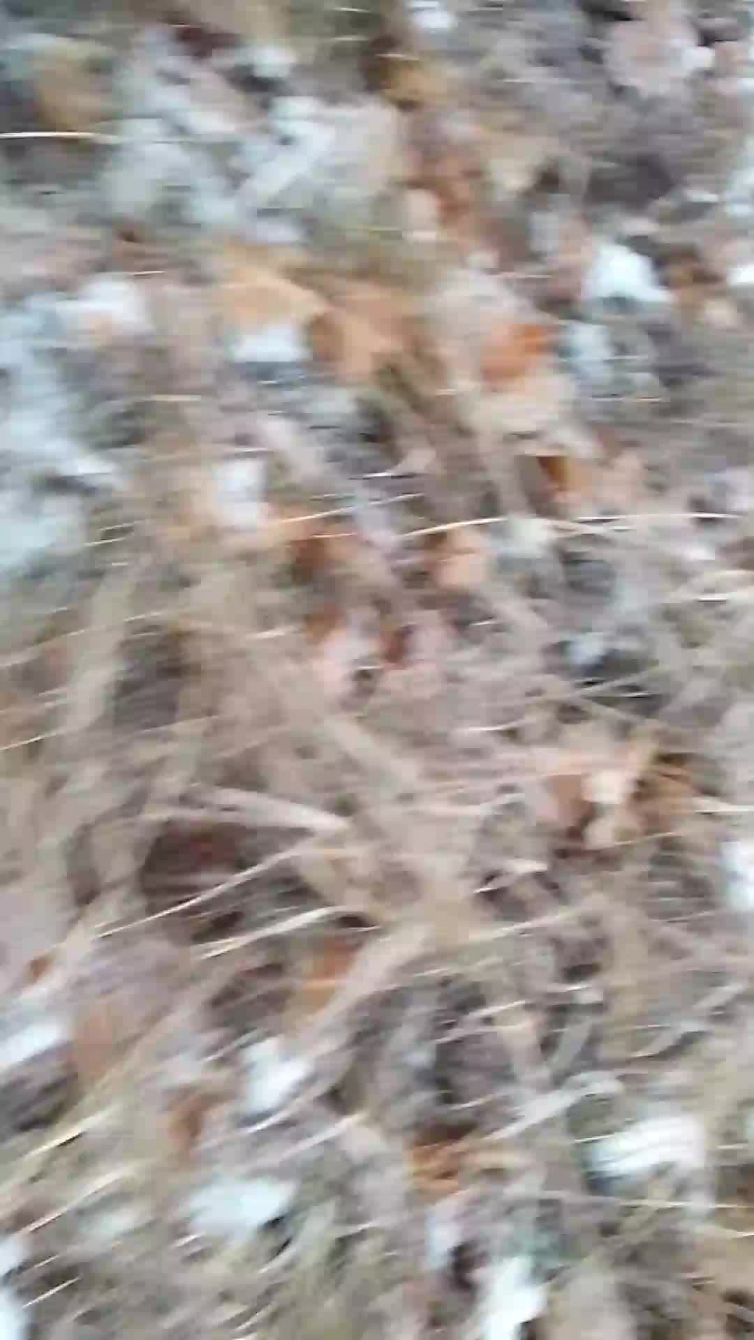 катаемся