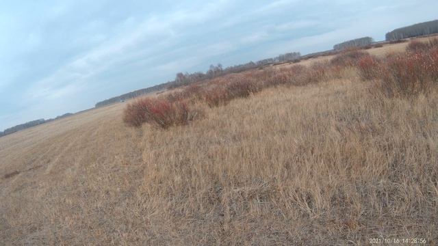 Охота на косулю. TG3 Lancaster 9.6х53 and Yukon Jaeger 3-9х40