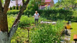 КОТоБудни в КОТоРаю накануне большого путешествия...