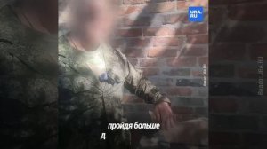 Кот прошёл более 10 км, чтобы найти своих