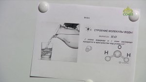 «Страсти и борьба с ними» с протоиереем Андреем Каневым. 26 июня 2020