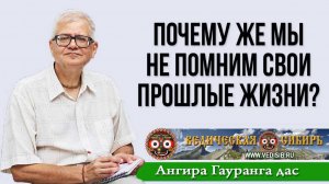 Почему мы не помним свои прошлые жизни?