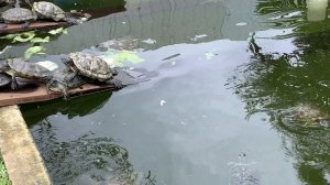 5457138-uhd_3840_2160_30fps