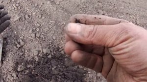 Коп с Квазар АРМ 2021! Коп вслепую.