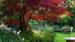 Дизайн сада в природном стиле. Интересные идеи.