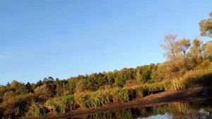 На Рыбалку на Речку Вядь, очень Борзые Окуня.