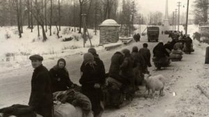 Смирнова Алиса – Гатчина в годы оккупации