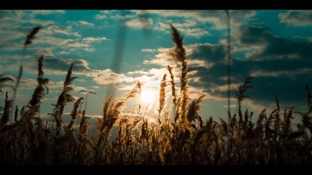 Русь