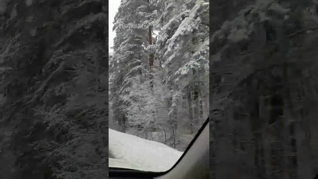 Праздник Казанской иконы Богородицы.mp4