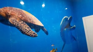 Ремонт туалета панелями Панда ( Подводный мир )