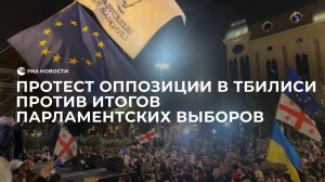 Протест оппозиции в Тбилиси против итогов парламентских выборов