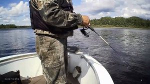 Вуокса Зеленый мыс 29 июля.