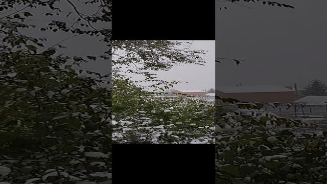 О жизни в деревне смотреть онлайн