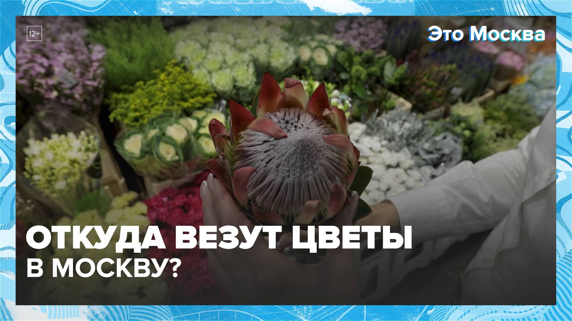 Откуда в Москву везут цветы?|Это Москва  Москва 24|Контент