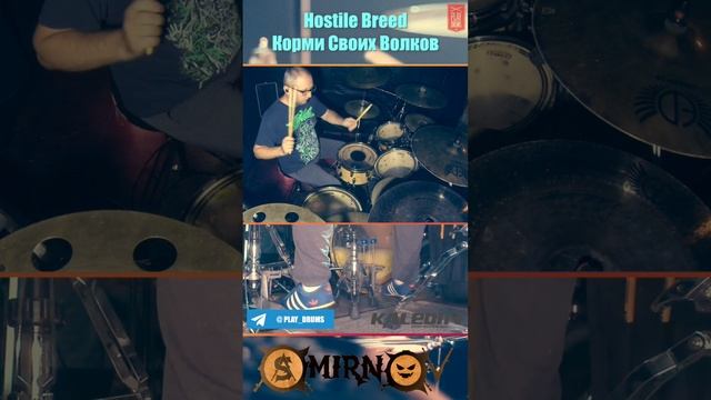 Биток с двумя бочками | Корми своих волков, группа Hostile Breed #drumbeat #doublekick