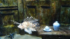 3765024-uhd_3840_2160_30fps
