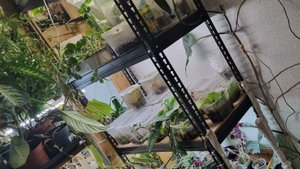 Наводим порядок 🫣