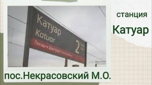 Катуар, посёлок Некрасовский 2021 г